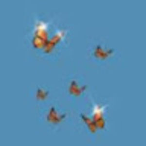 Meet your Posher, Stella